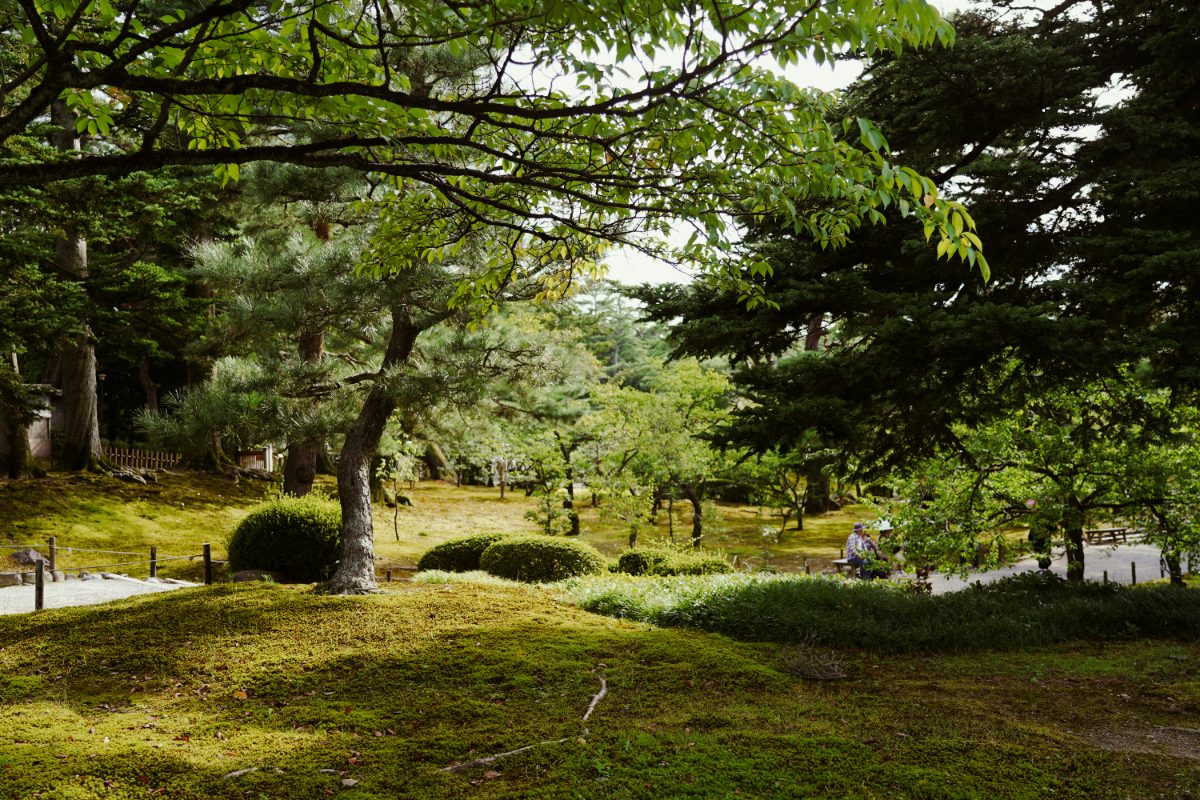 The garden at Kenrokuen in Kanazawa