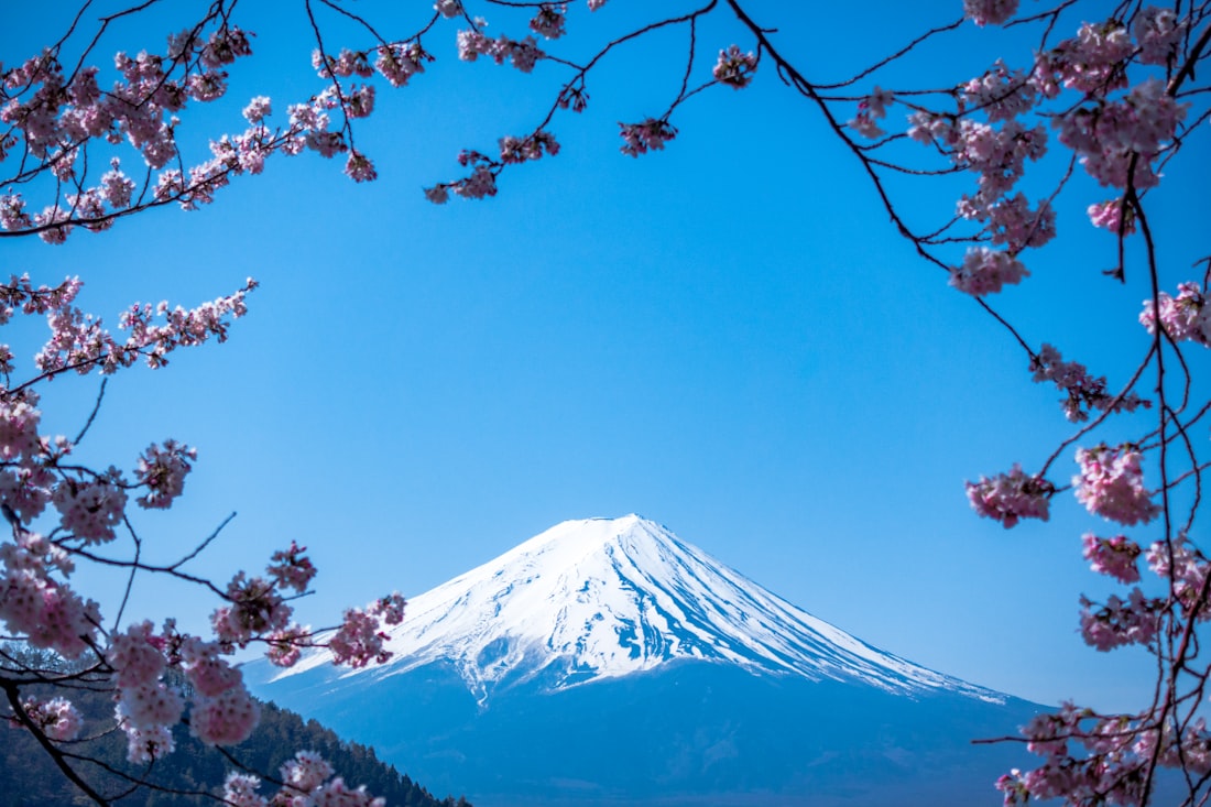 Mount Fuji in spring
